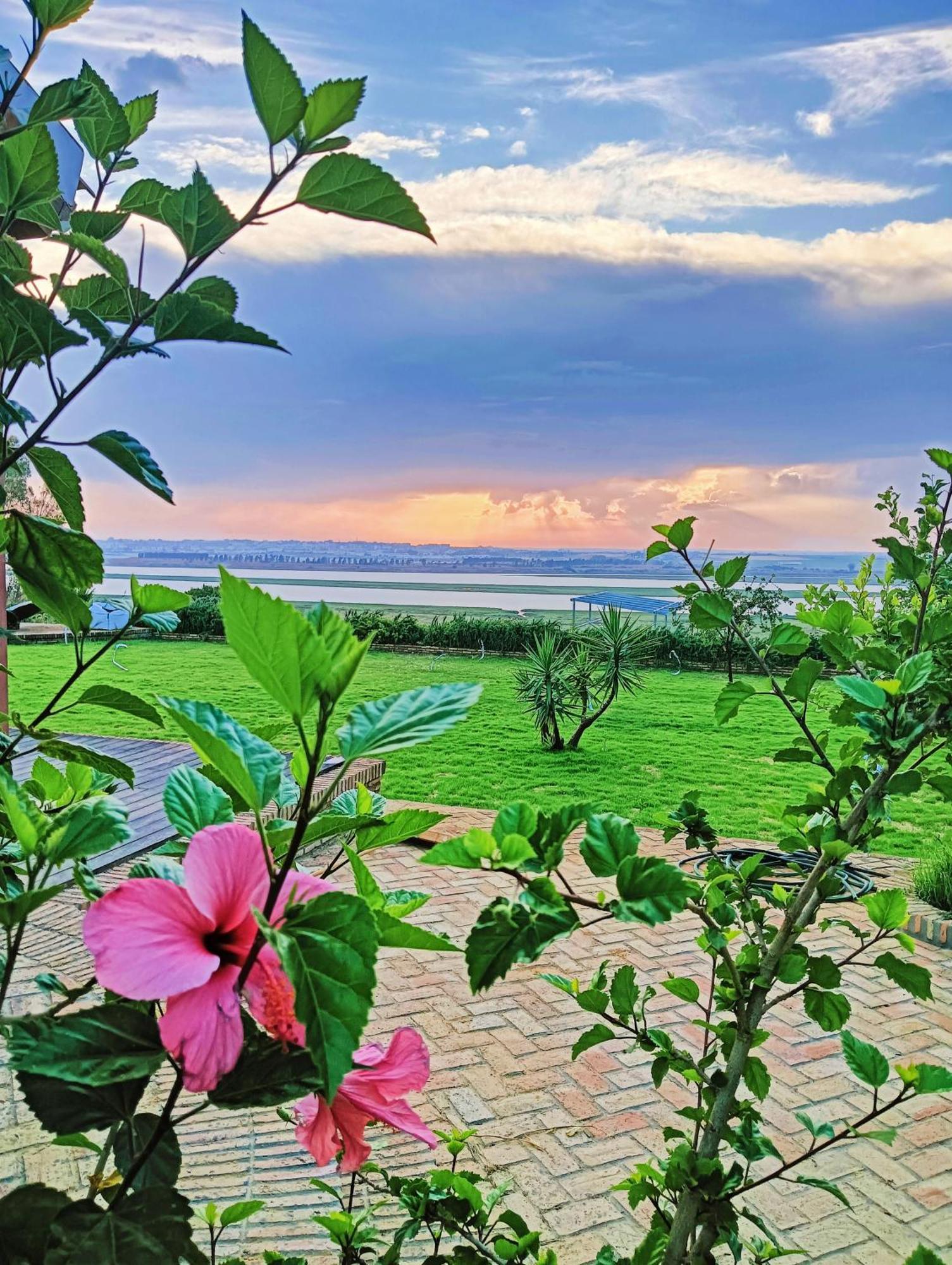 Finca Mis Morenas 팔로스 델 라 프론테라 외부 사진