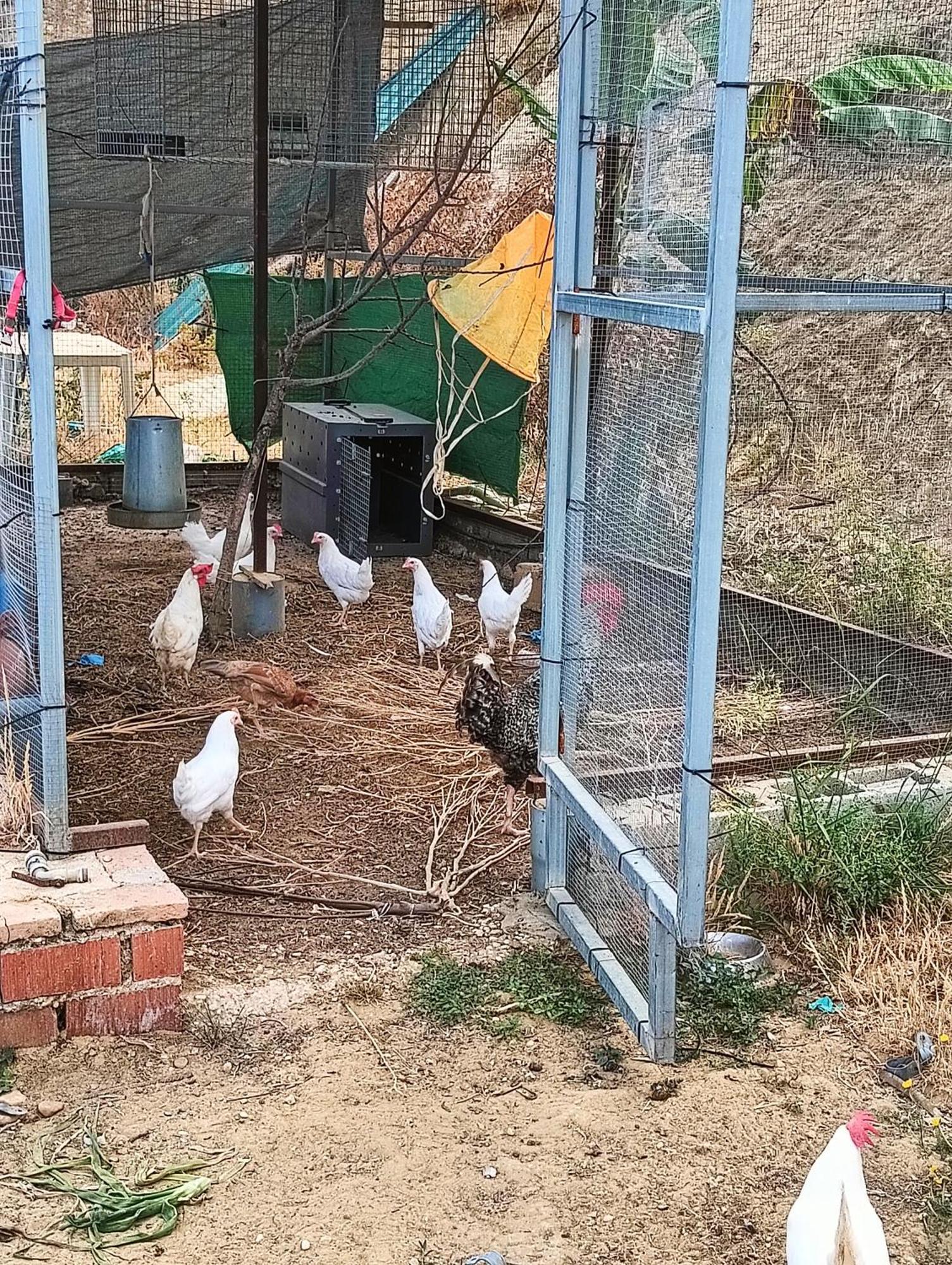 Finca Mis Morenas 팔로스 델 라 프론테라 외부 사진