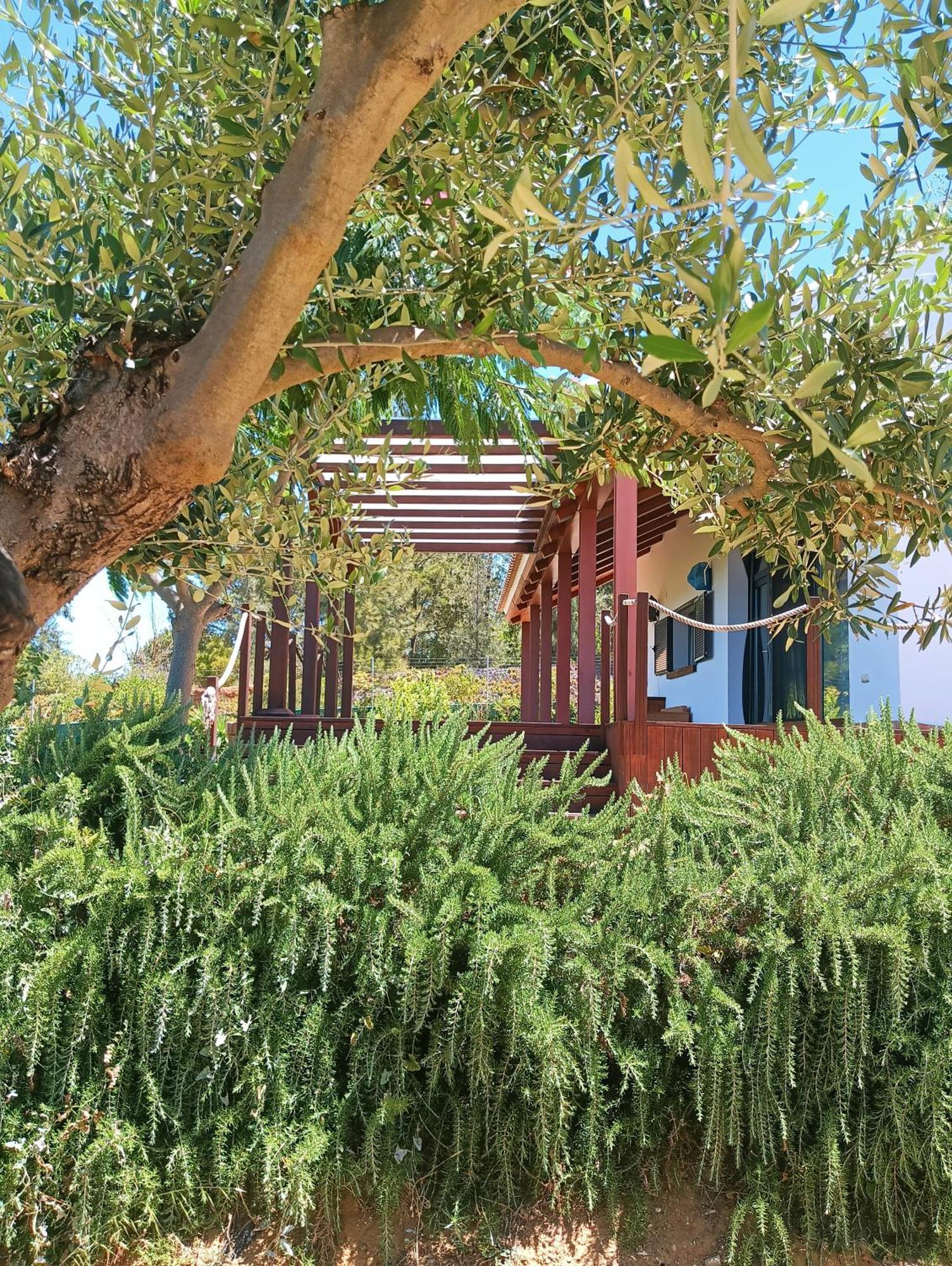 Finca Mis Morenas 팔로스 델 라 프론테라 외부 사진